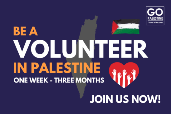 Volunteer Programs in Palestine