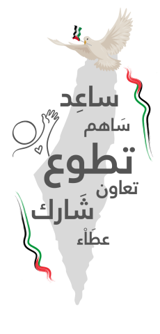 Volunteer Programs in Palestine